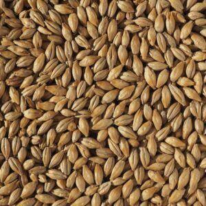 All Grain Brewing: A Beginners Guide - How To Get Started with All Grain Brewing - KegLand