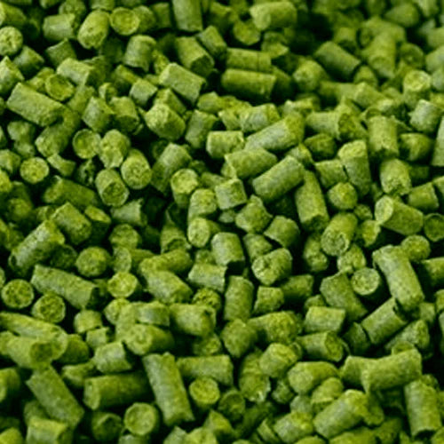 East Kent Golding is thought of as the ultimate English hop and is grown exclusively in Kent. 