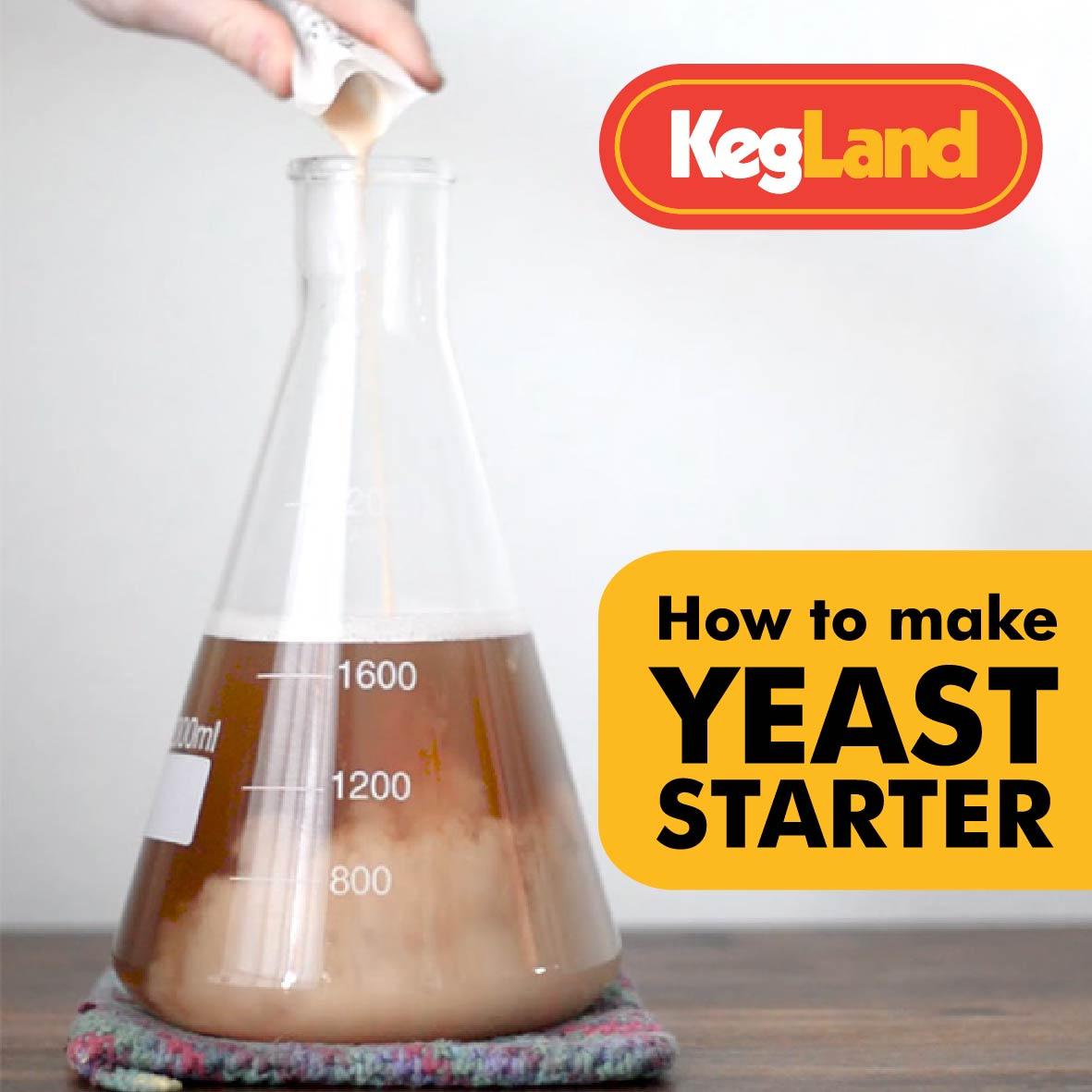 Lets Talk About Yeast And How To Make A Successful Yeast Starter - KegLand
