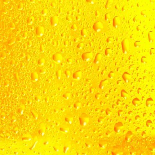 StepbyStep Guide Force Carbonation in Kegs