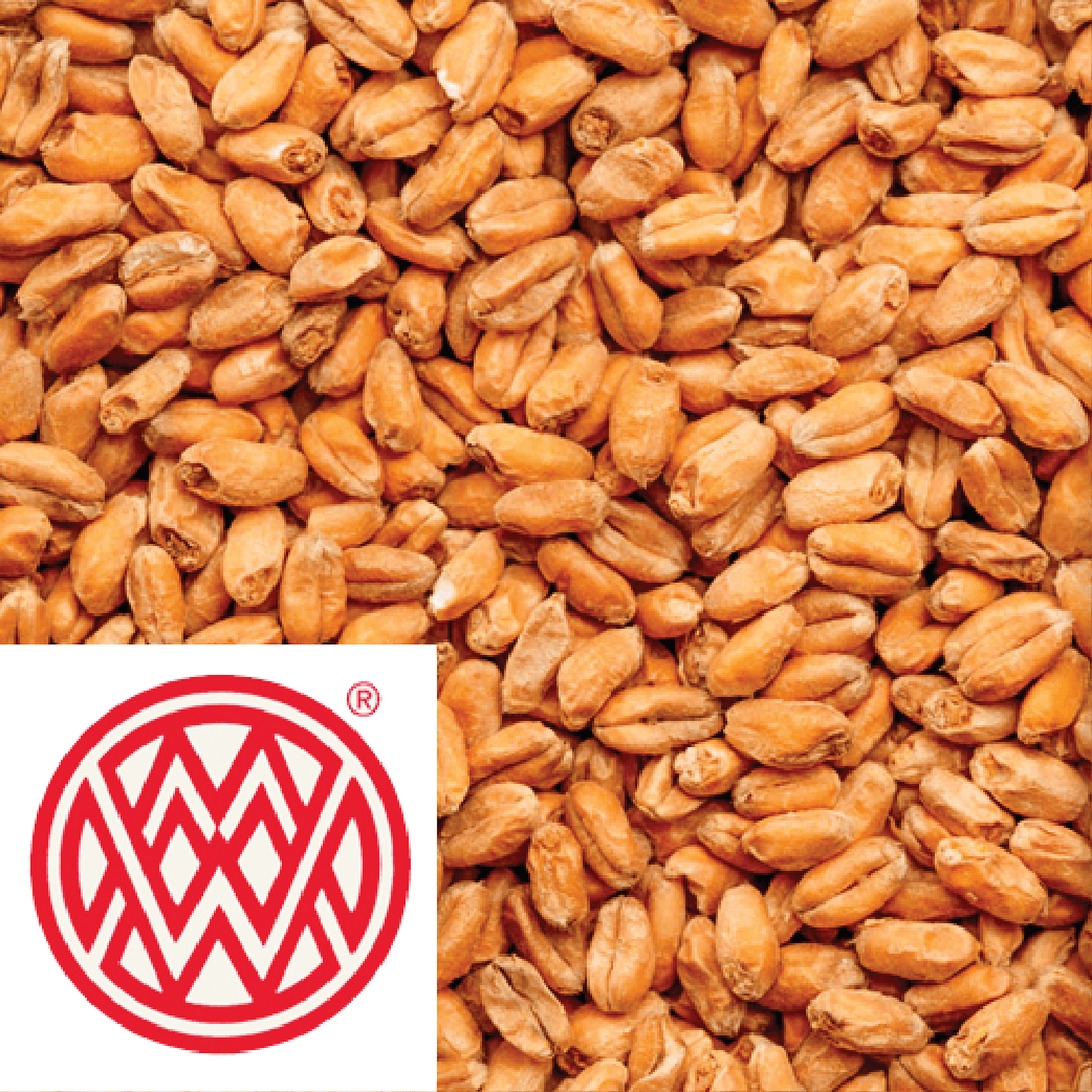 25kg SACK - Carawheat (Caramel Wheat) - Weyermann (GER) - KegLand