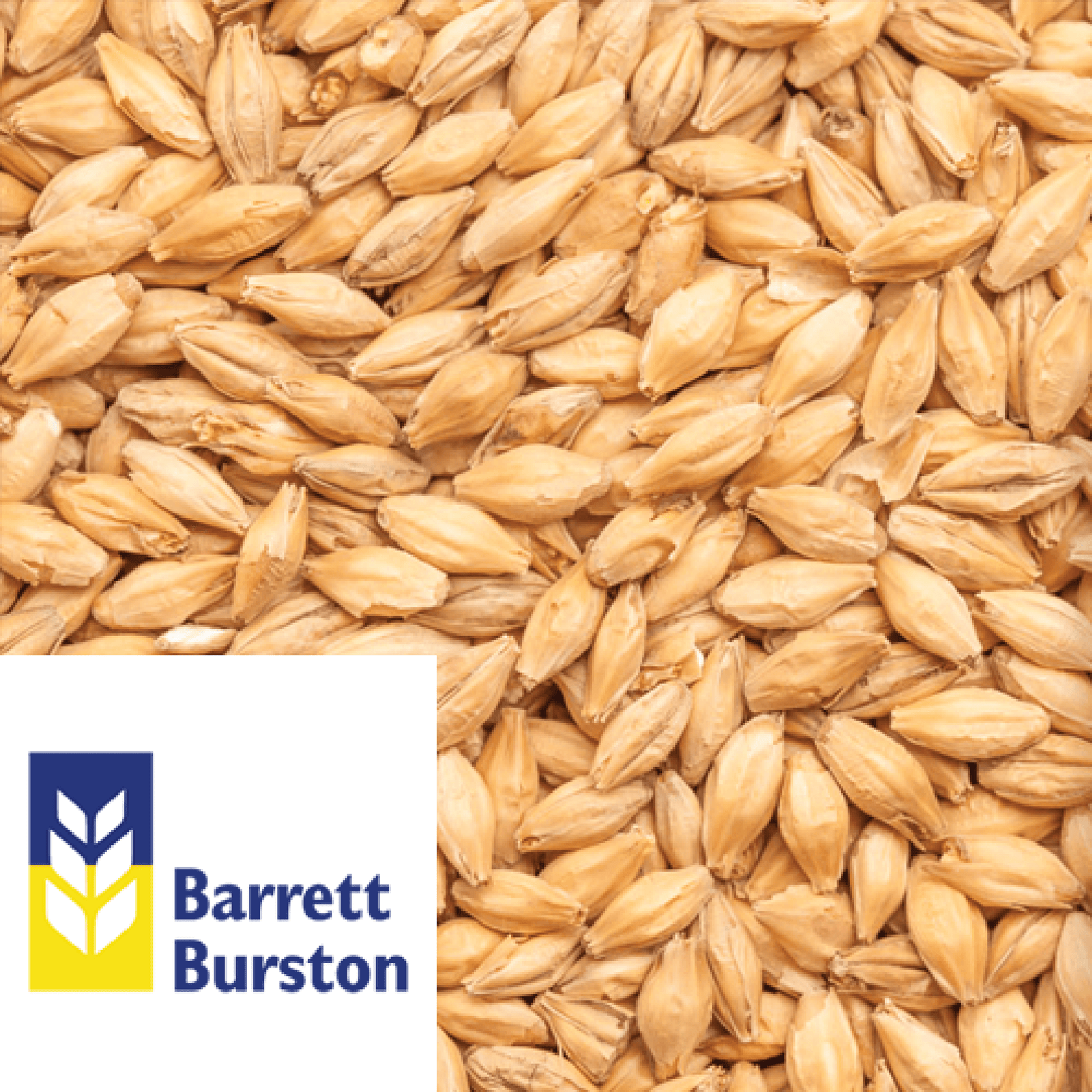 Premium Pilsner Malt (Pale Malt) Barrett Burston (AUS) 25kg Sack