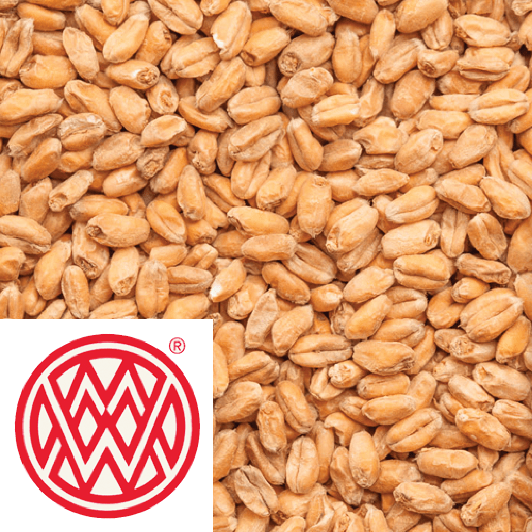25kg SACK - Wheat Malt - Weyermann (GER) - KegLand